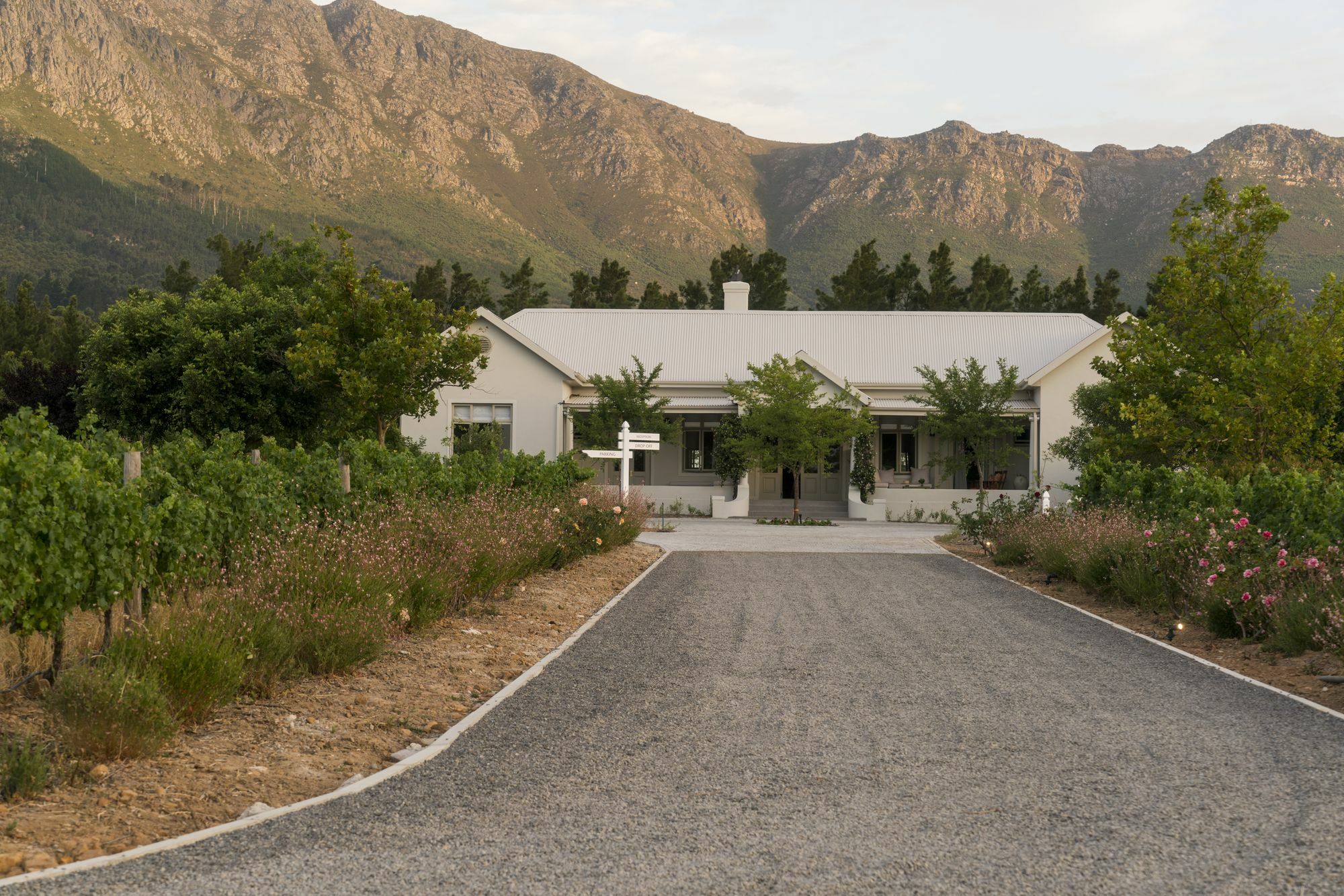 Cape Vue Country House Hotel Franschhoek Eksteriør billede