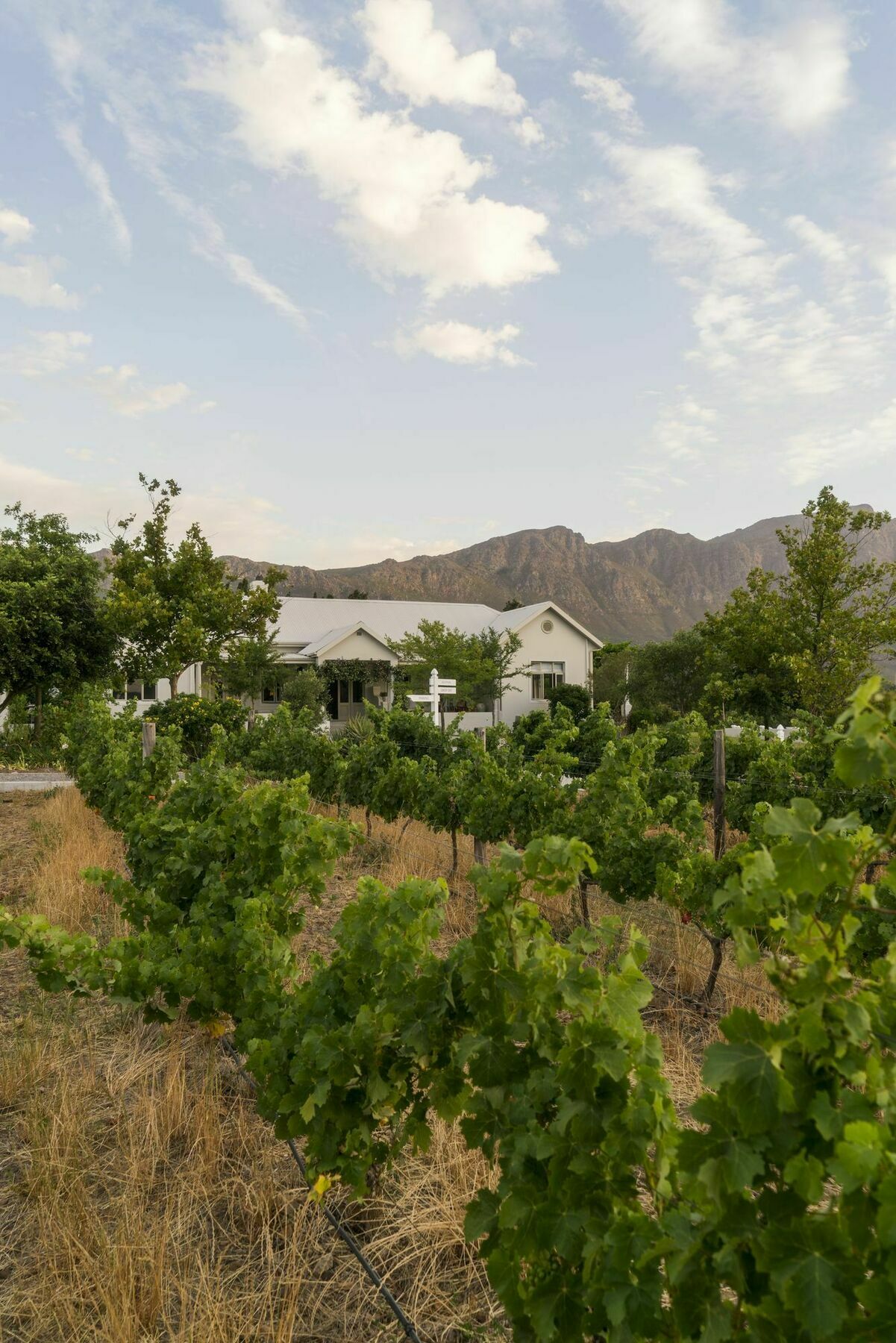 Cape Vue Country House Hotel Franschhoek Eksteriør billede